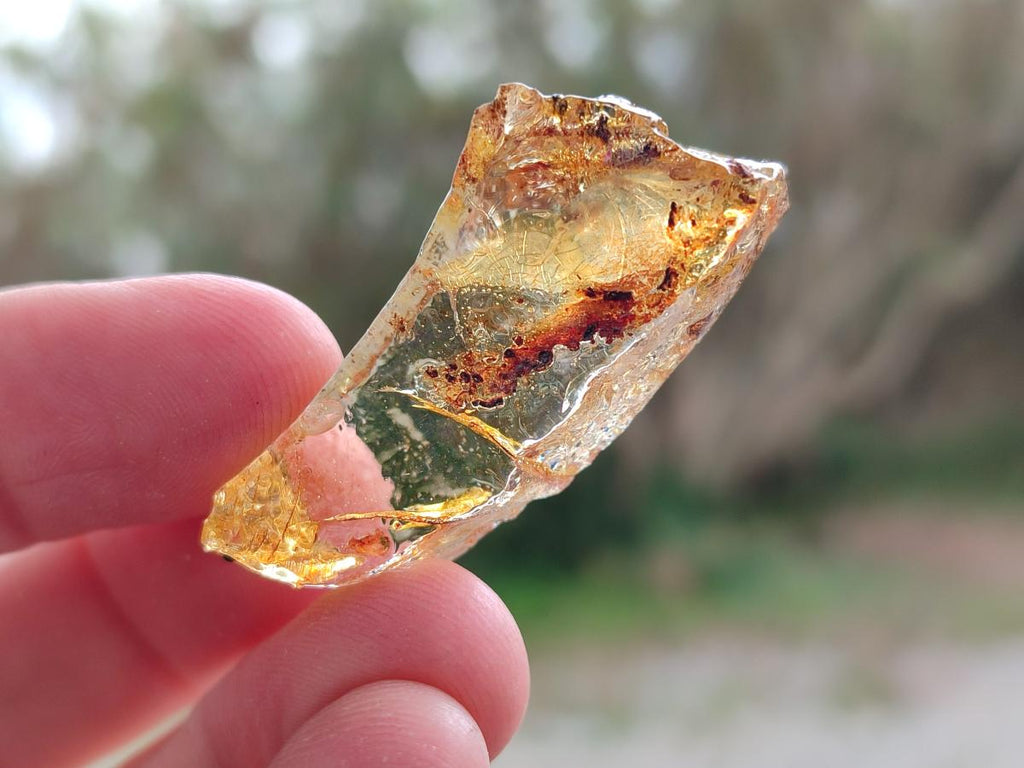 Natural Copal Amber Specimens with Insect and Plant Inclusions x 24 From Lemur Island, Madagascar - Toprock Gemstones and Minerals 