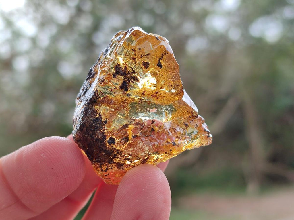 Natural Copal Amber Specimens with Insect and Plant Inclusions x 24 From Lemur Island, Madagascar - Toprock Gemstones and Minerals 