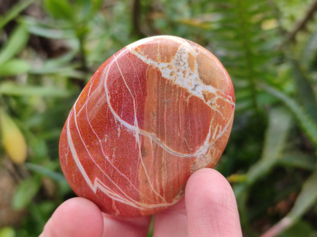 Polished Rare Ocean Jasper Galets x 24 From Northwest Coast, Madagascar - Toprock Gemstones and Minerals 