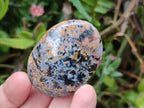 Polished Rare Ocean Jasper Galets x 24 From Northwest Coast, Madagascar - Toprock Gemstones and Minerals 