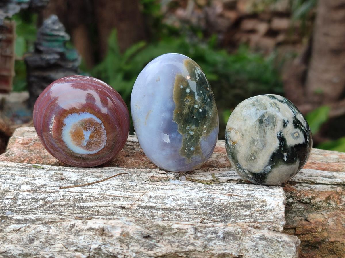 Polished Rare Ocean Jasper Galets x 24 From Northwest Coast, Madagascar - Toprock Gemstones and Minerals 