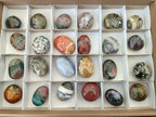 Polished Rare Ocean Jasper Galets x 24 From Northwest Coast, Madagascar - Toprock Gemstones and Minerals 