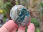 Polished Rare Ocean Jasper Galets x 24 From Northwest Coast, Madagascar - Toprock Gemstones and Minerals 