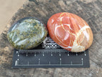 Polished Rare Ocean Jasper Galets x 24 From Northwest Coast, Madagascar - Toprock Gemstones and Minerals 