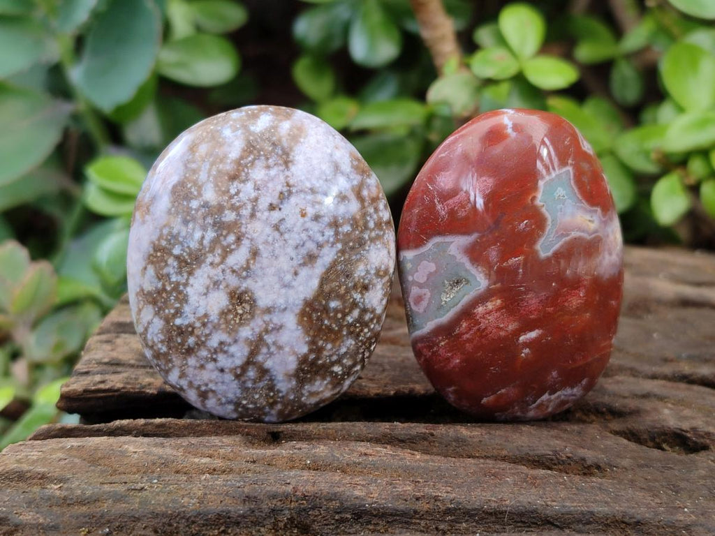 Polished Rare Ocean Jasper Galets x 24 From Northwest Coast, Madagascar - Toprock Gemstones and Minerals 