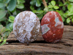 Polished Rare Ocean Jasper Galets x 24 From Northwest Coast, Madagascar - Toprock Gemstones and Minerals 