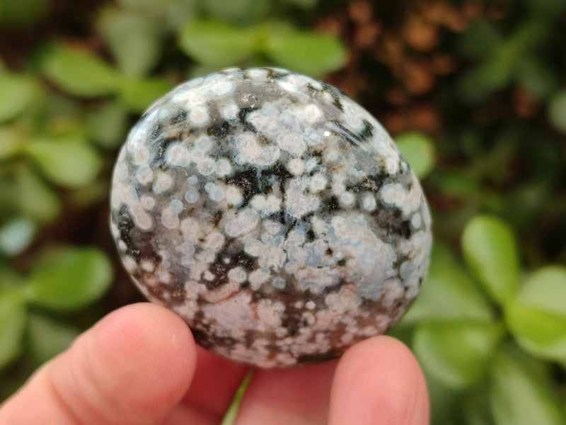 Polished Rare Ocean Jasper Galets x 24 From Northwest Coast, Madagascar - Toprock Gemstones and Minerals 