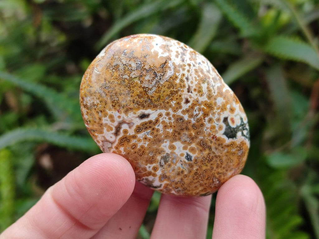 Polished Rare Ocean Jasper Galets x 24 From Northwest Coast, Madagascar - Toprock Gemstones and Minerals 