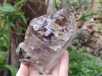 Polished Large Skeletal Smokey Quartz Crystal x 1 From Madagascar - Toprock Gemstones and Minerals 