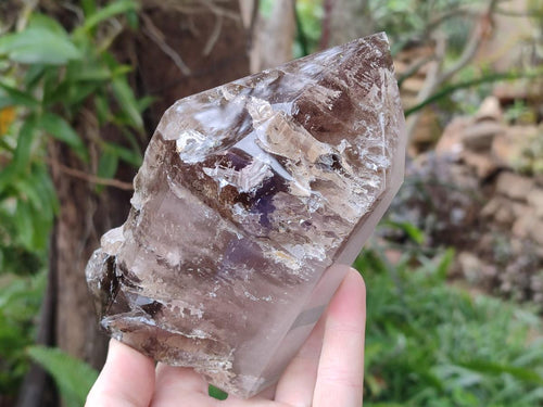 Polished Large Skeletal Smokey Quartz Crystal x 1 From Madagascar - Toprock Gemstones and Minerals 