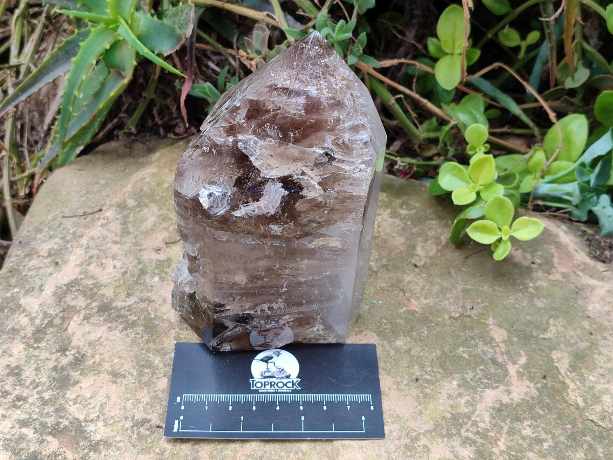 Polished Large Skeletal Smokey Quartz Crystal x 1 From Madagascar - Toprock Gemstones and Minerals 