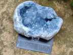 Natural Cabinet Sized Blue Celestite Geode Specimens x 2 From Sakoany, Madagascar - Toprock Gemstones and Minerals 