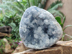 Natural Cabinet Sized Blue Celestite Geode Specimens x 2 From Sakoany, Madagascar - Toprock Gemstones and Minerals 