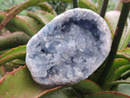 Natural Cabinet Sized Blue Celestite Geode Specimens x 2 From Sakoany, Madagascar - Toprock Gemstones and Minerals 