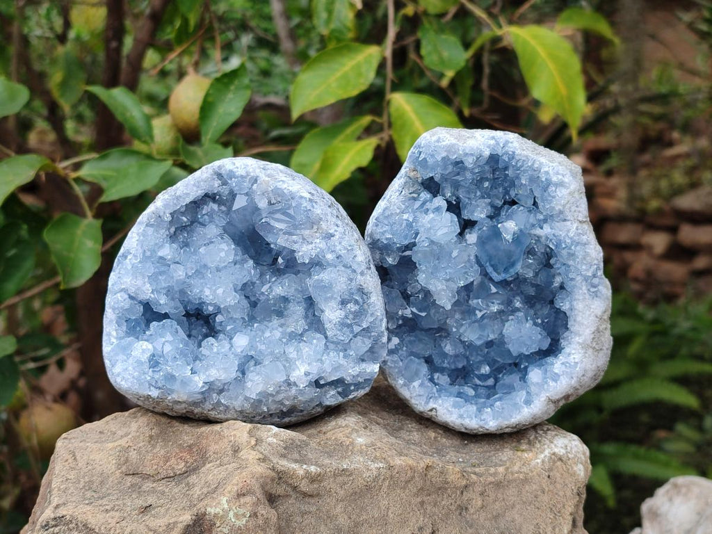 Natural Cabinet Sized Blue Celestite Geode Specimens x 2 From Sakoany, Madagascar - Toprock Gemstones and Minerals 