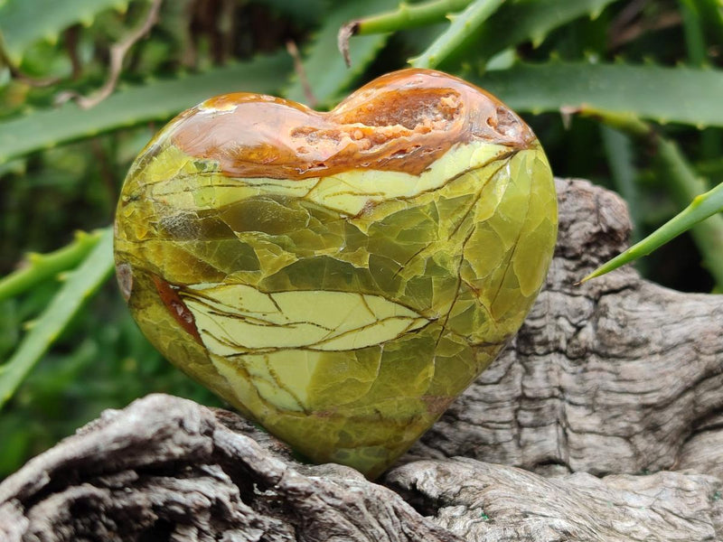 Polished Green Opal Hearts x 8 From Betroka, Madagascar - Toprock Gemstones and Minerals 
