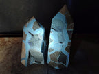 Polished Septerye Sauvage Display Crystals x 2 From Mahajanga, Madagascar - Toprock Gemstones and Minerals 