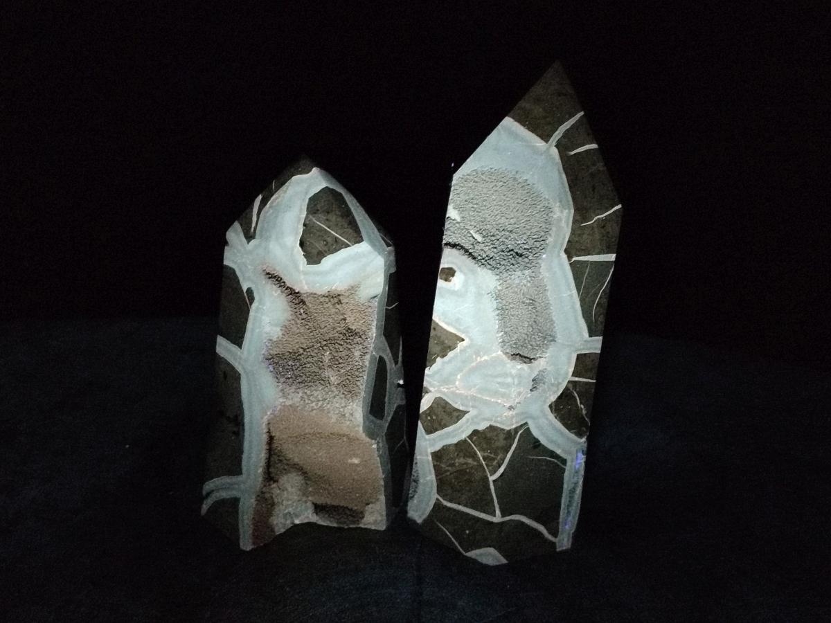 Polished Septerye Sauvage Display Crystals x 2 From Mahajanga, Madagascar - Toprock Gemstones and Minerals 
