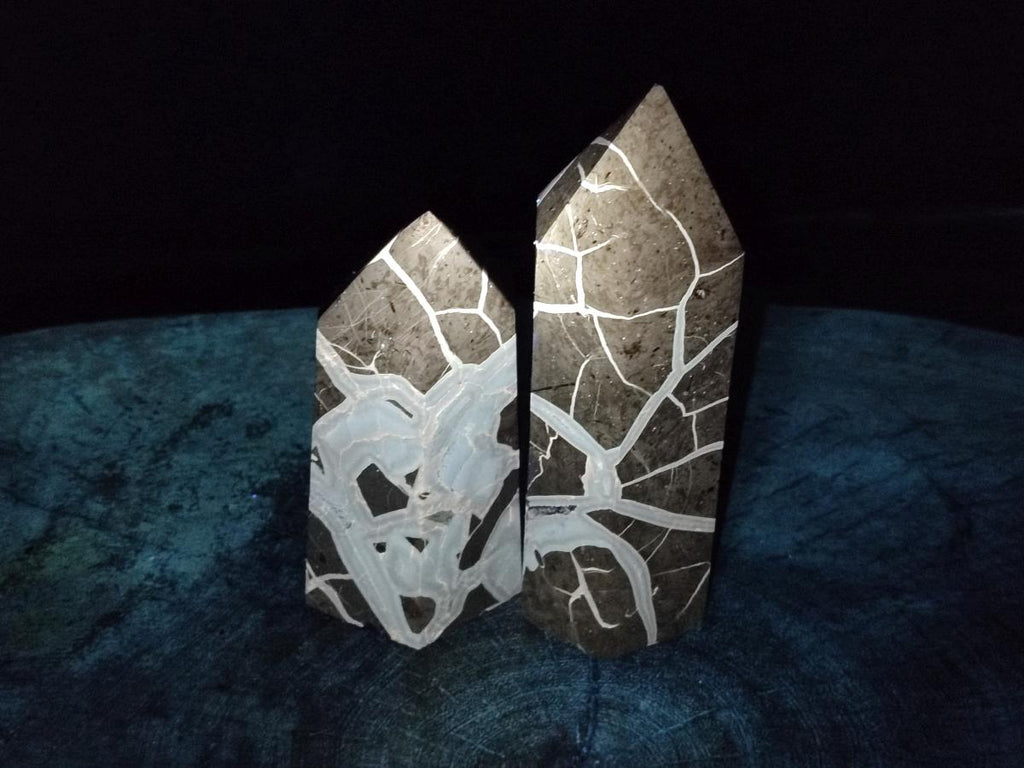 Polished Septerye Sauvage Display Crystals x 2 From Mahajanga, Madagascar - Toprock Gemstones and Minerals 