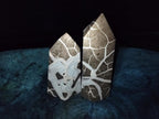 Polished Septerye Sauvage Display Crystals x 2 From Mahajanga, Madagascar - Toprock Gemstones and Minerals 