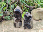 Polished Septerye Sauvage Display Crystals x 2 From Mahajanga, Madagascar - Toprock Gemstones and Minerals 