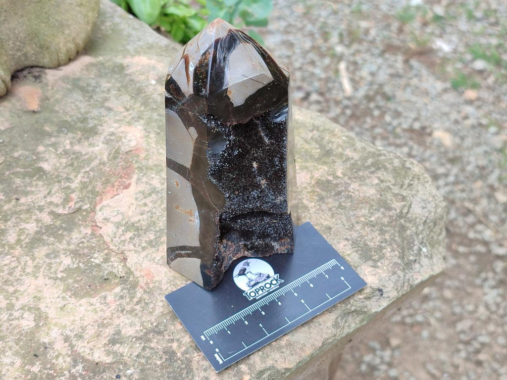 Polished Septerye Sauvage Display Crystals x 2 From Mahajanga, Madagascar - Toprock Gemstones and Minerals 