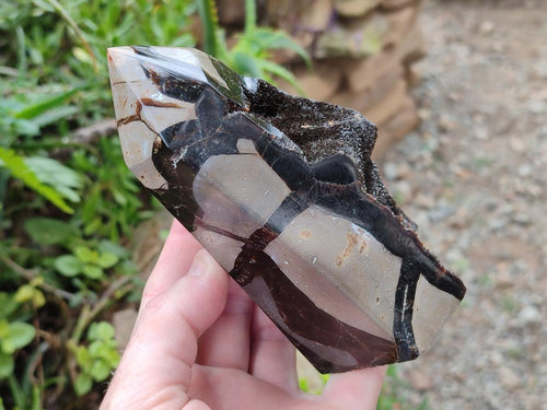 Polished Septerye Sauvage Display Crystals x 2 From Mahajanga, Madagascar - Toprock Gemstones and Minerals 
