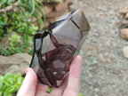 Polished Septerye Sauvage Display Crystals x 2 From Mahajanga, Madagascar - Toprock Gemstones and Minerals 