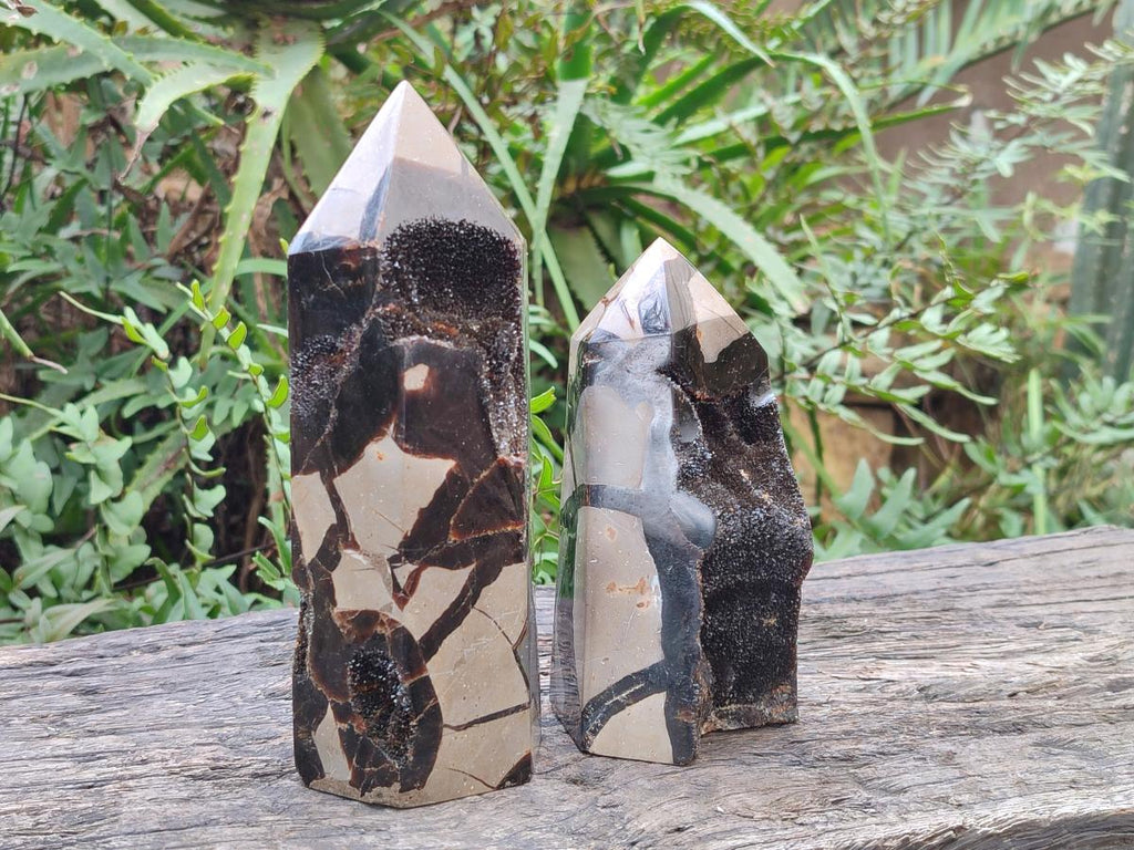 Polished Septerye Sauvage Display Crystals x 2 From Mahajanga, Madagascar - Toprock Gemstones and Minerals 