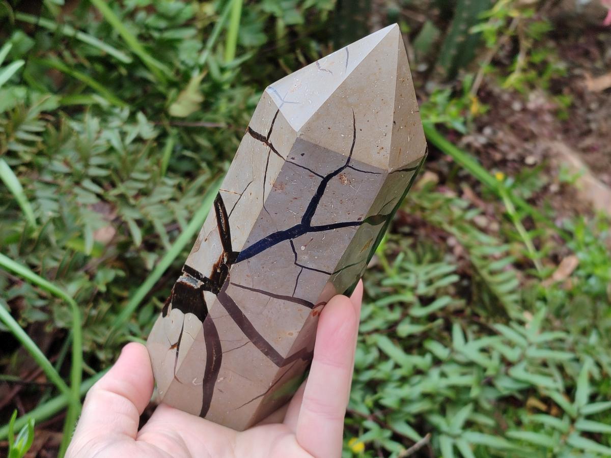 Polished Septerye Sauvage Display Crystals x 2 From Mahajanga, Madagascar - Toprock Gemstones and Minerals 