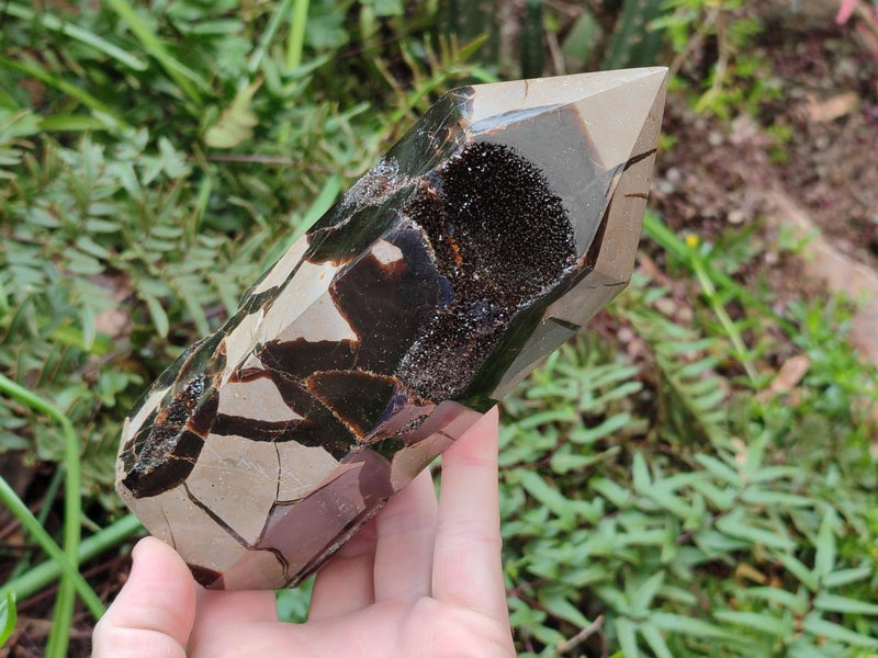 Polished Septerye Sauvage Display Crystals x 2 From Mahajanga, Madagascar - Toprock Gemstones and Minerals 