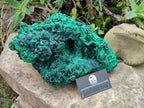 Natural XL Silky Malachite Specimen x 1 From Kasompe, Congo - Toprock Gemstones and Minerals 