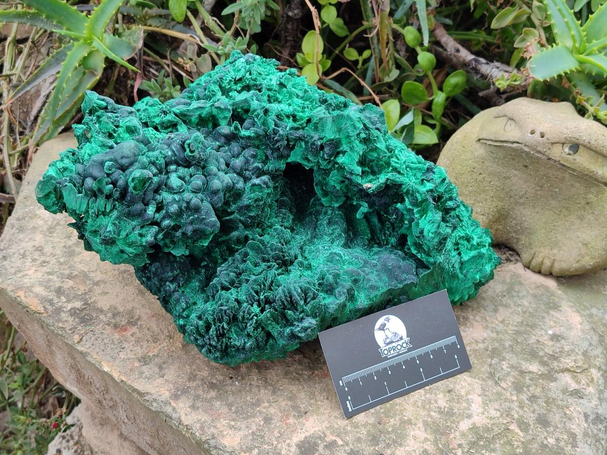 Natural XL Silky Malachite Specimen x 1 From Kasompe, Congo - Toprock Gemstones and Minerals 