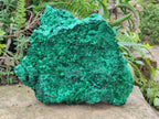Natural XL Silky Malachite Specimen x 1 From Kasompe, Congo - Toprock Gemstones and Minerals 