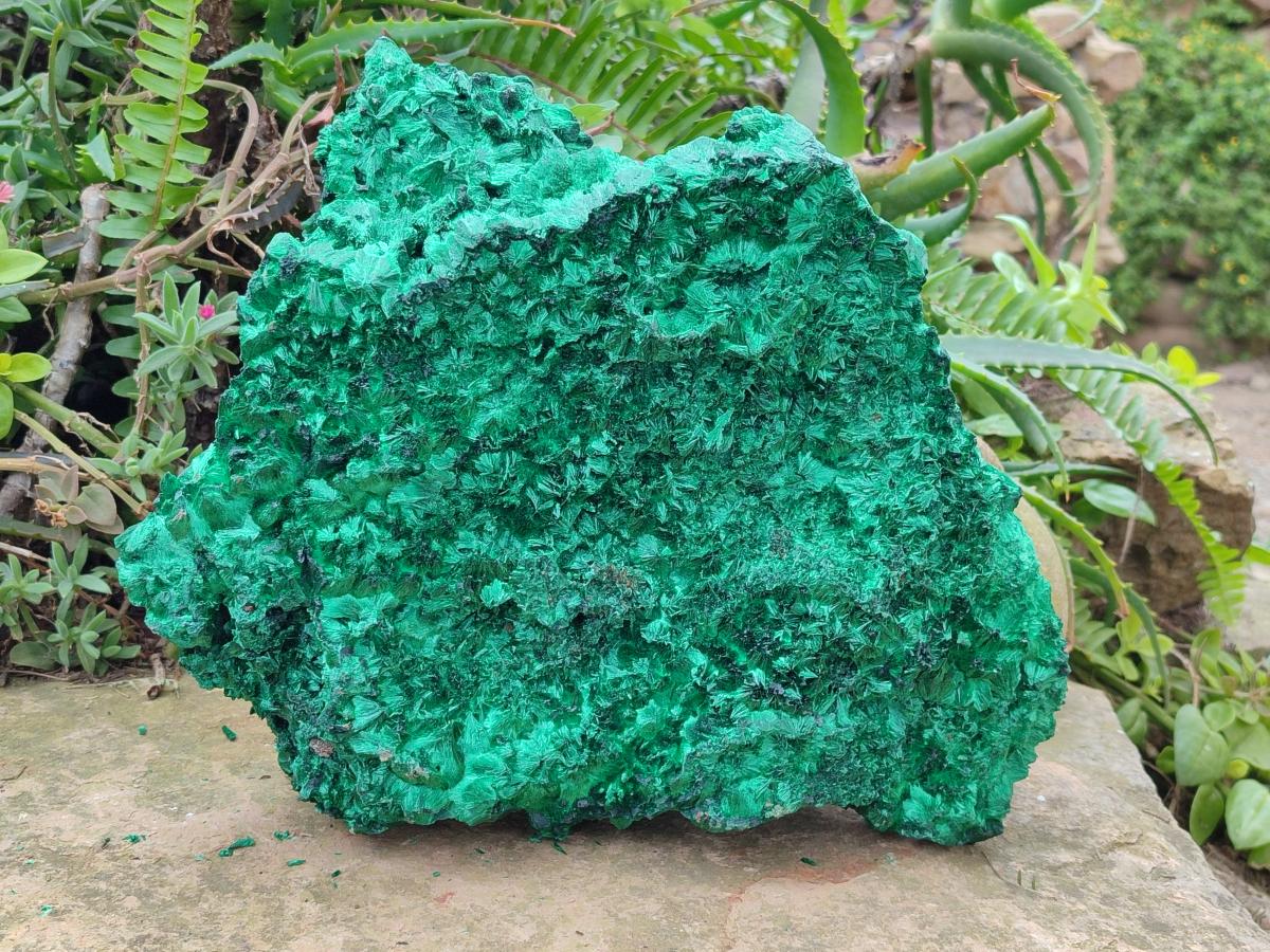 Natural XL Silky Malachite Specimen x 1 From Kasompe, Congo - Toprock Gemstones and Minerals 