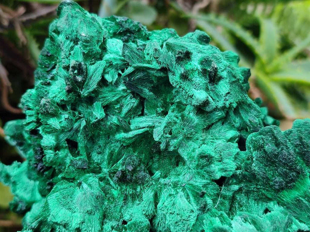 Natural XL Silky Malachite Specimen x 1 From Kasompe, Congo - Toprock Gemstones and Minerals 