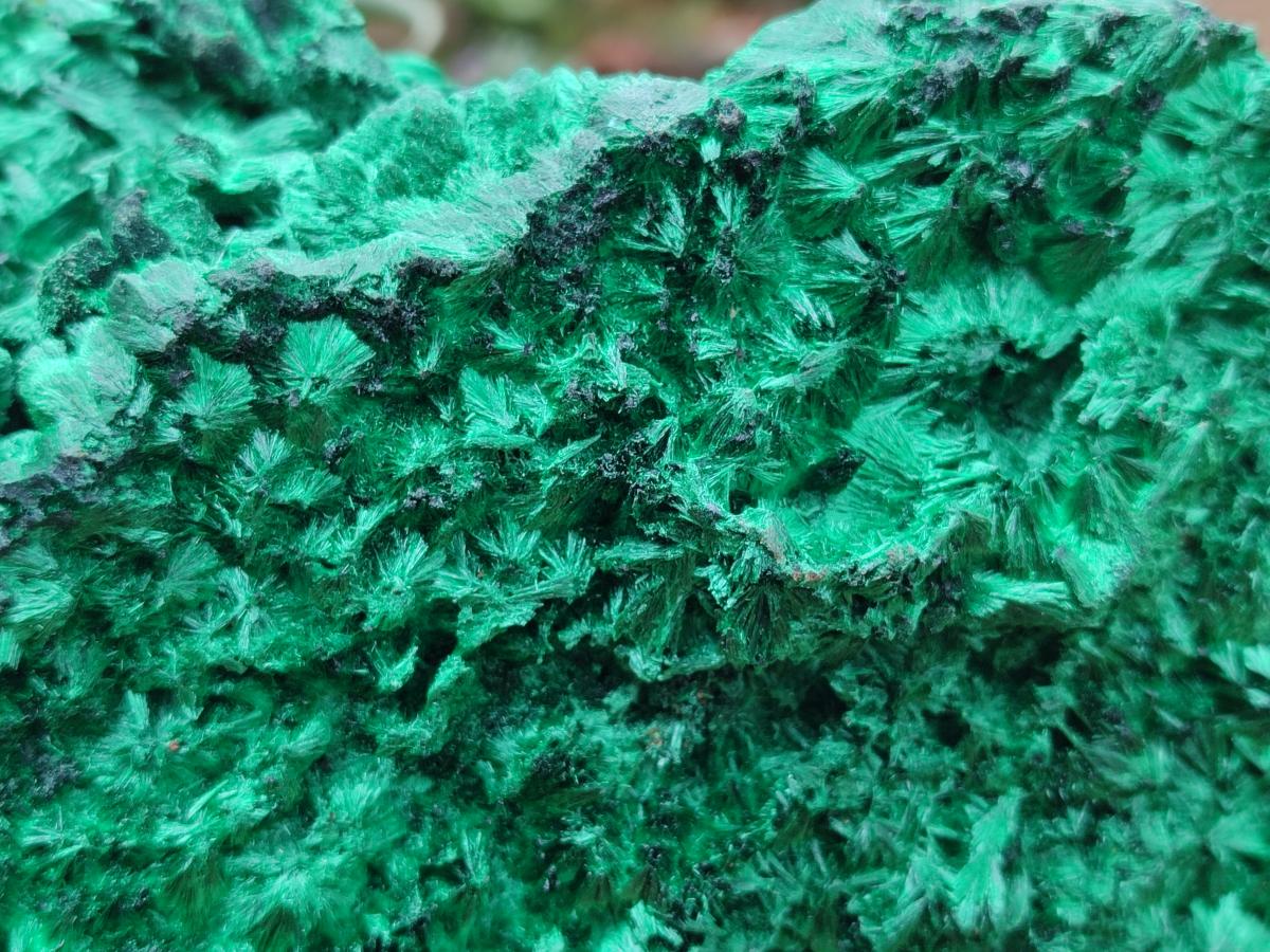Natural XL Silky Malachite Specimen x 1 From Kasompe, Congo - Toprock Gemstones and Minerals 
