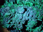 Natural XL Silky Malachite Specimen x 1 From Kasompe, Congo - Toprock Gemstones and Minerals 