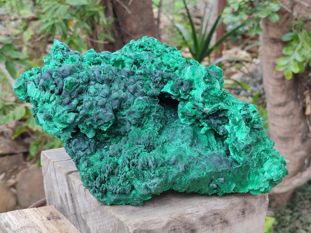 Natural XL Silky Malachite Specimen x 1 From Kasompe, Congo - Toprock Gemstones and Minerals 