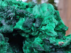Natural XL Silky Malachite Specimen x 1 From Kasompe, Congo - Toprock Gemstones and Minerals 