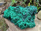 Natural XL Silky Malachite Specimen x 1 From Kasompe, Congo - Toprock Gemstones and Minerals 