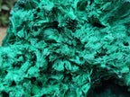 Natural XL Silky Malachite Specimen x 1 From Kasompe, Congo - Toprock Gemstones and Minerals 