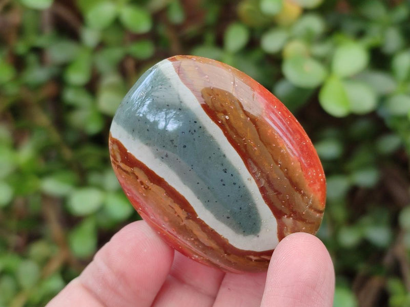 Polished Polychrome Jasper Galets x 24 From NW Coast, Madagascar - Toprock Gemstones and Minerals 