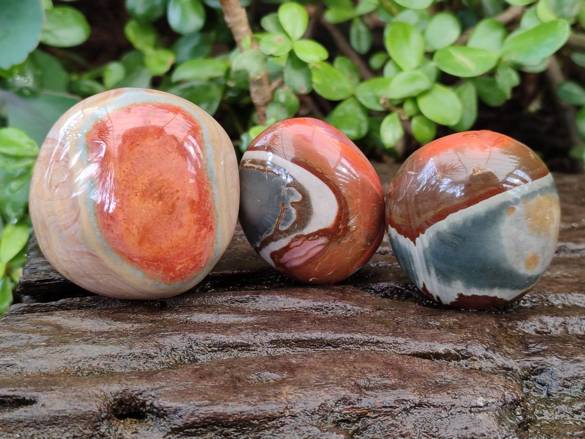 Polished Polychrome Jasper Galets x 24 From NW Coast, Madagascar - Toprock Gemstones and Minerals 