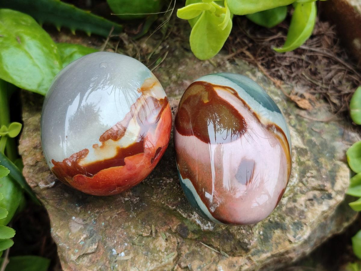 Polished Polychrome Jasper Galets x 24 From NW Coast, Madagascar - Toprock Gemstones and Minerals 