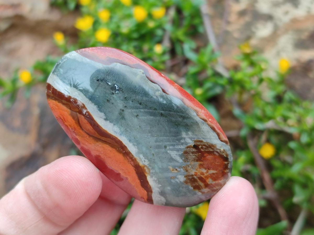 Polished Polychrome Jasper Galets x 24 From NW Coast, Madagascar - Toprock Gemstones and Minerals 