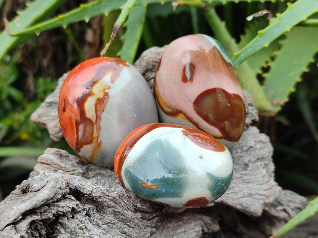 Polished Polychrome Jasper Galets x 24 From NW Coast, Madagascar - Toprock Gemstones and Minerals 