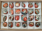 Polished Polychrome Jasper Galets x 24 From NW Coast, Madagascar - Toprock Gemstones and Minerals 