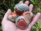 Polished Polychrome Jasper Galets x 24 From NW Coast, Madagascar - Toprock Gemstones and Minerals 