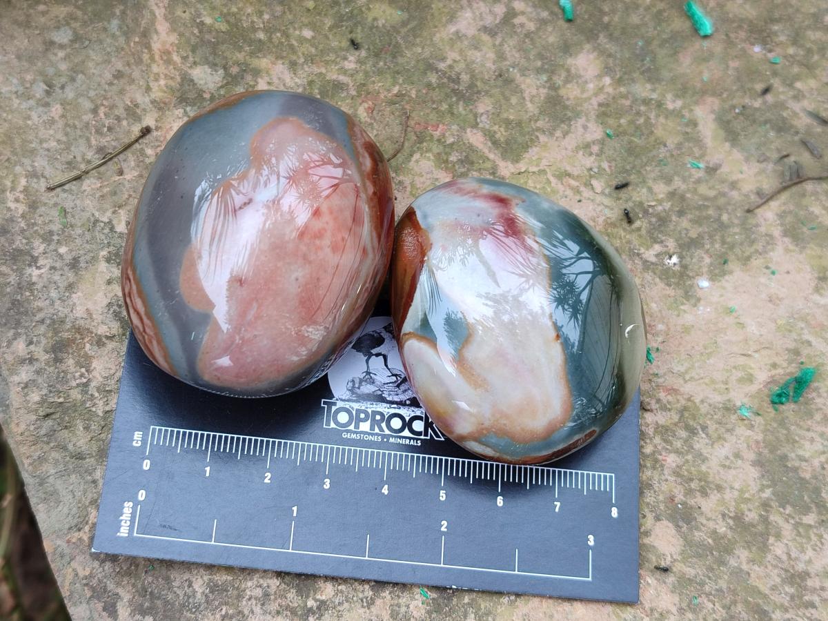 Polished Polychrome Jasper Galets x 24 From NW Coast, Madagascar - Toprock Gemstones and Minerals 